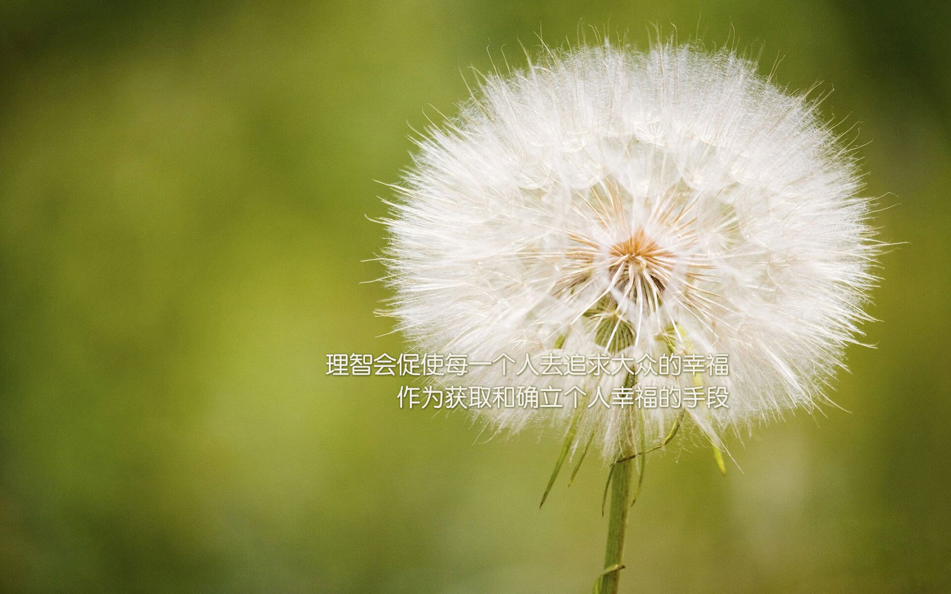 NBA推出“球员时光瓶”项目，记录退役前心声，nba时空