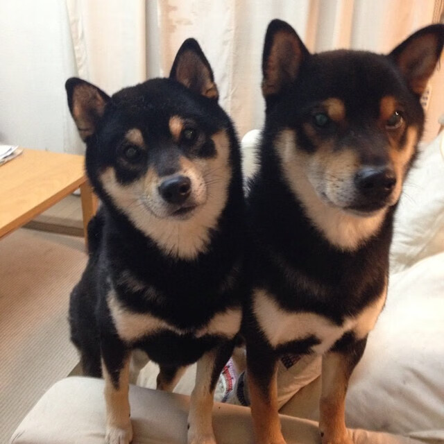 “惊心瞬间：赛场上的火花四溅”